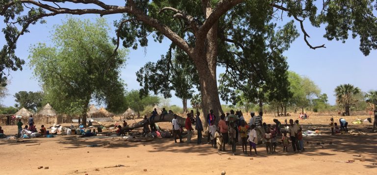 big 07b00941fc617415172f0cb1c2696bfc