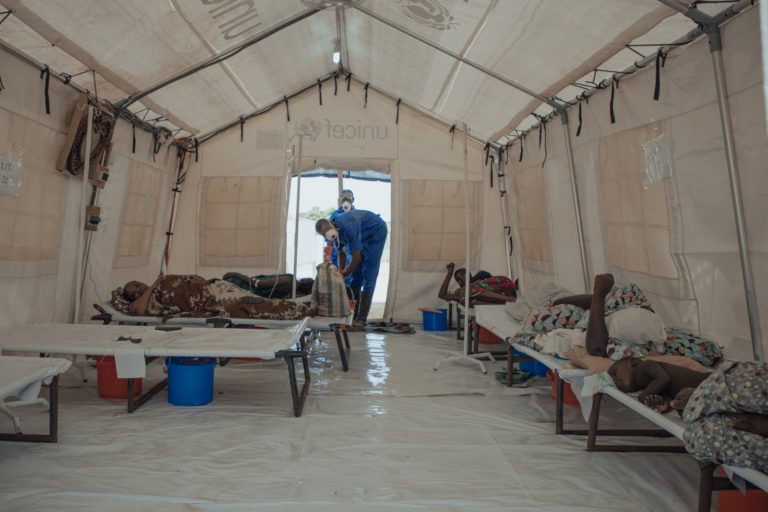 Niger: ALIMA’s Actions on the Ground 3 big 290bb78e105140ddfdd1cff91fa4b8de