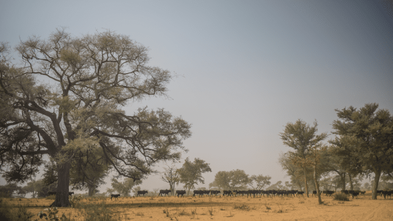 Espace Presse 4 webimage 4B3CCB3F F309 4F09 A0AA718096822950