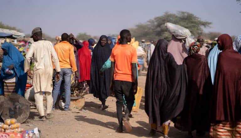 Niger: ALIMA’s Actions on the Ground 2 Niger